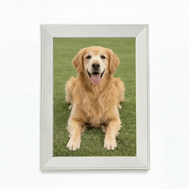 AI Pet Memory Frame – Bring Your Pet Back to Life with Personalized Animation