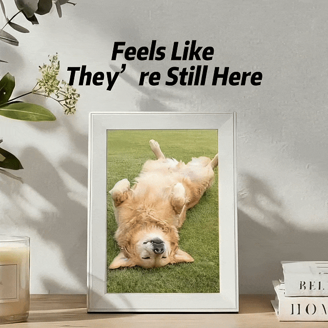 AI Pet Memory Frame – Bring Your Pet Back to Life with Personalized Animation